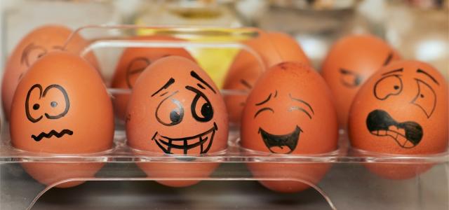 Eggs